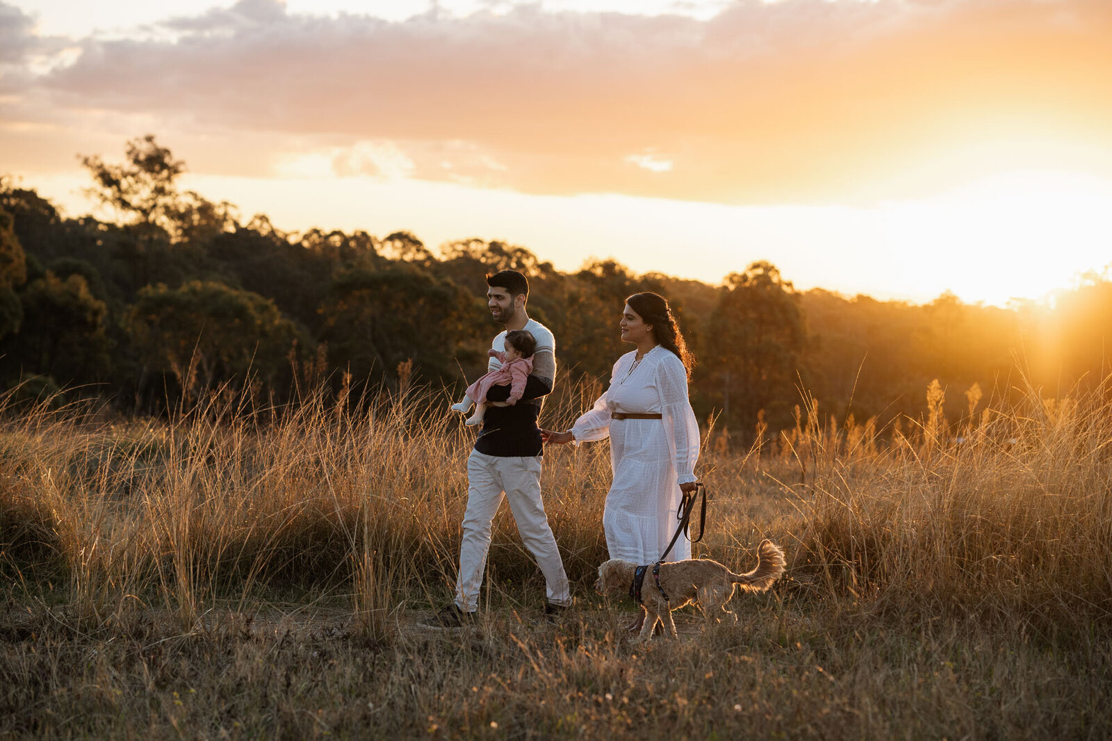 Family walking through a golden field in late afternoon light near Sydney